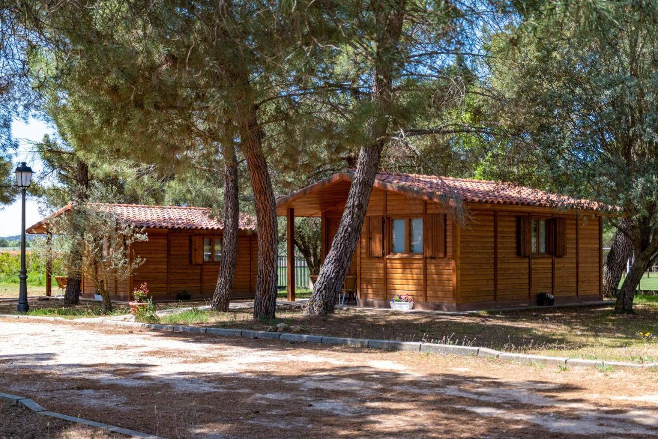 Las Casitas Del Pinar Bayubas de Abajo ภายนอก รูปภาพ