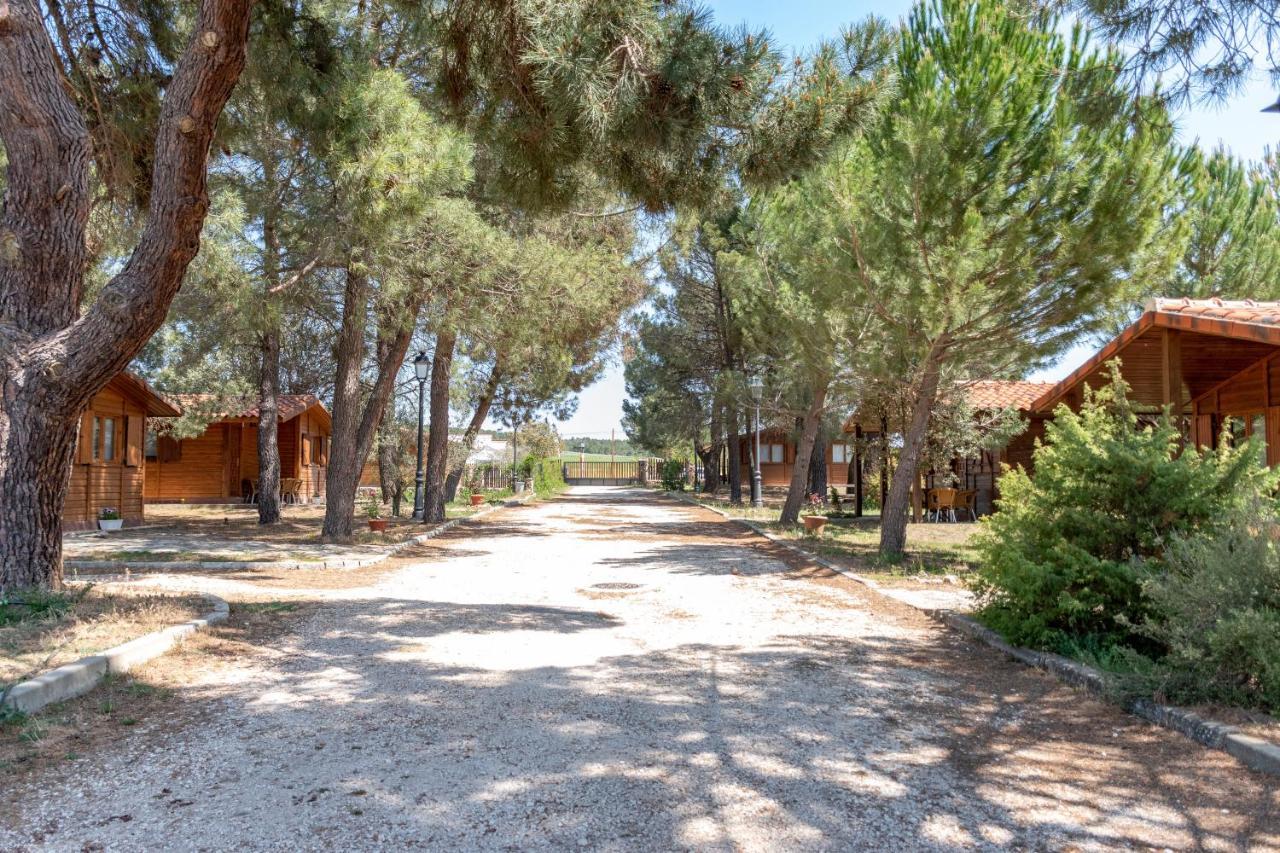 Las Casitas Del Pinar Bayubas de Abajo ภายนอก รูปภาพ